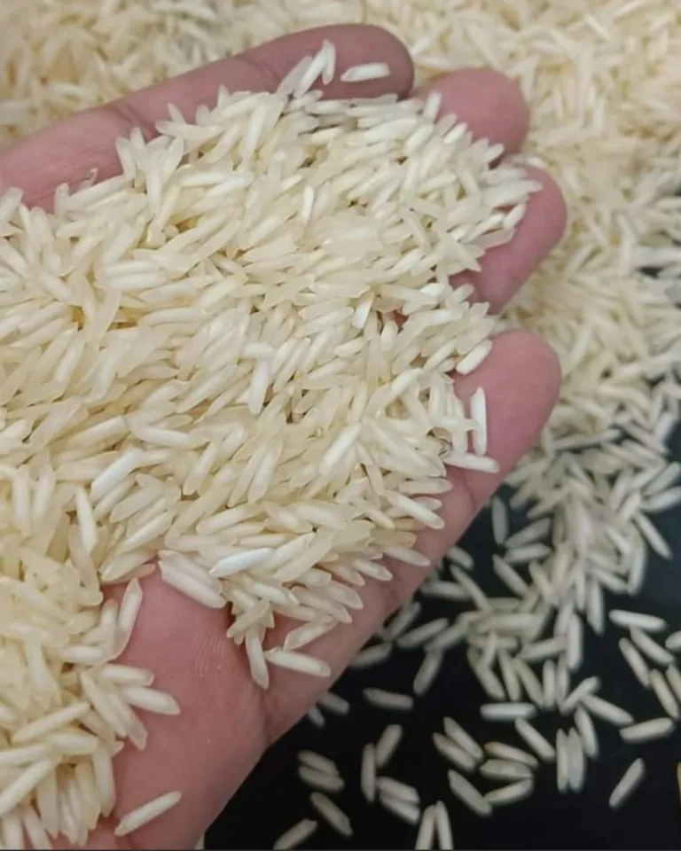 A handful of milled long grain Basmati Rice
