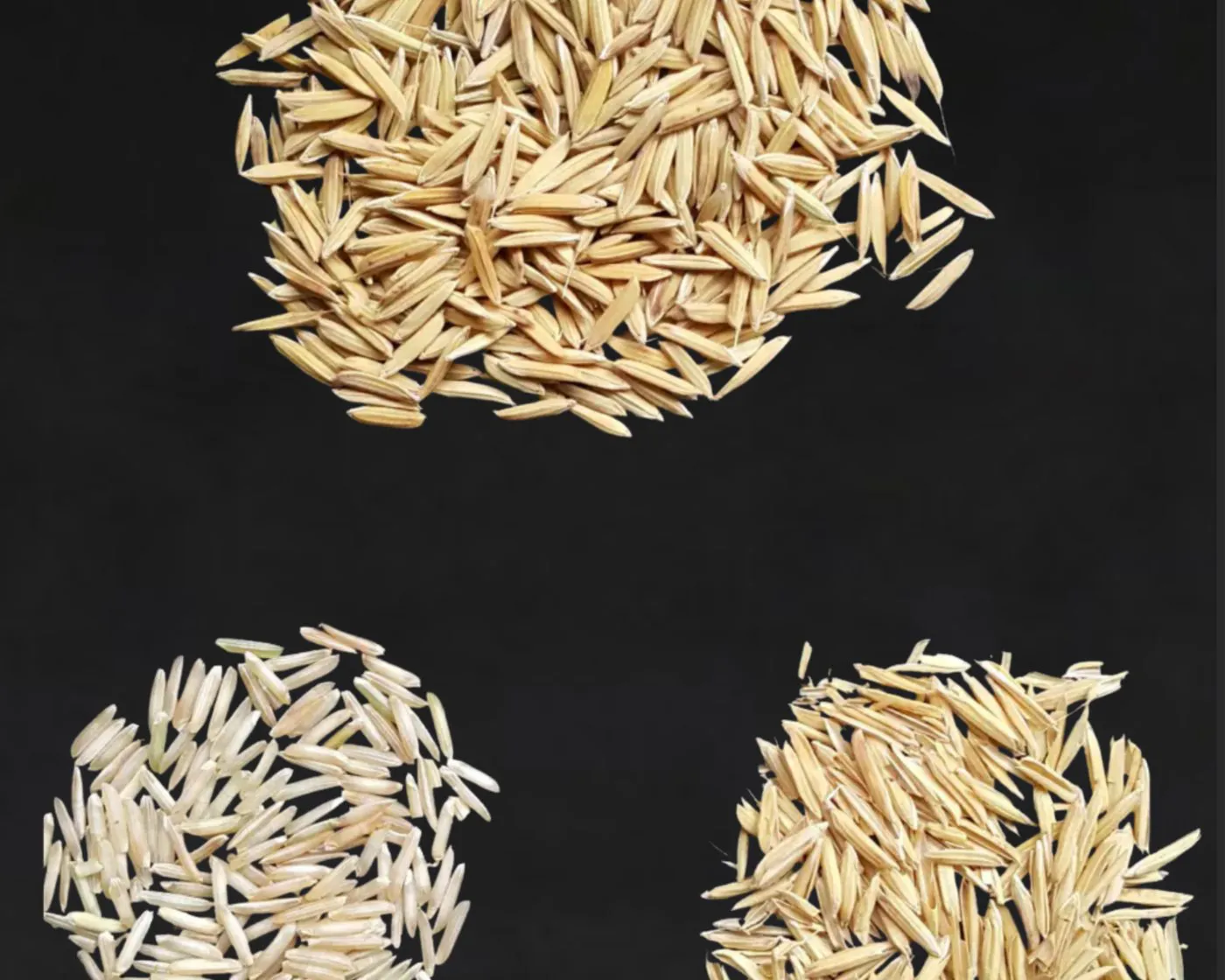 Paddy and milled Rice samples laid out for comparison, where Rice quality control starts