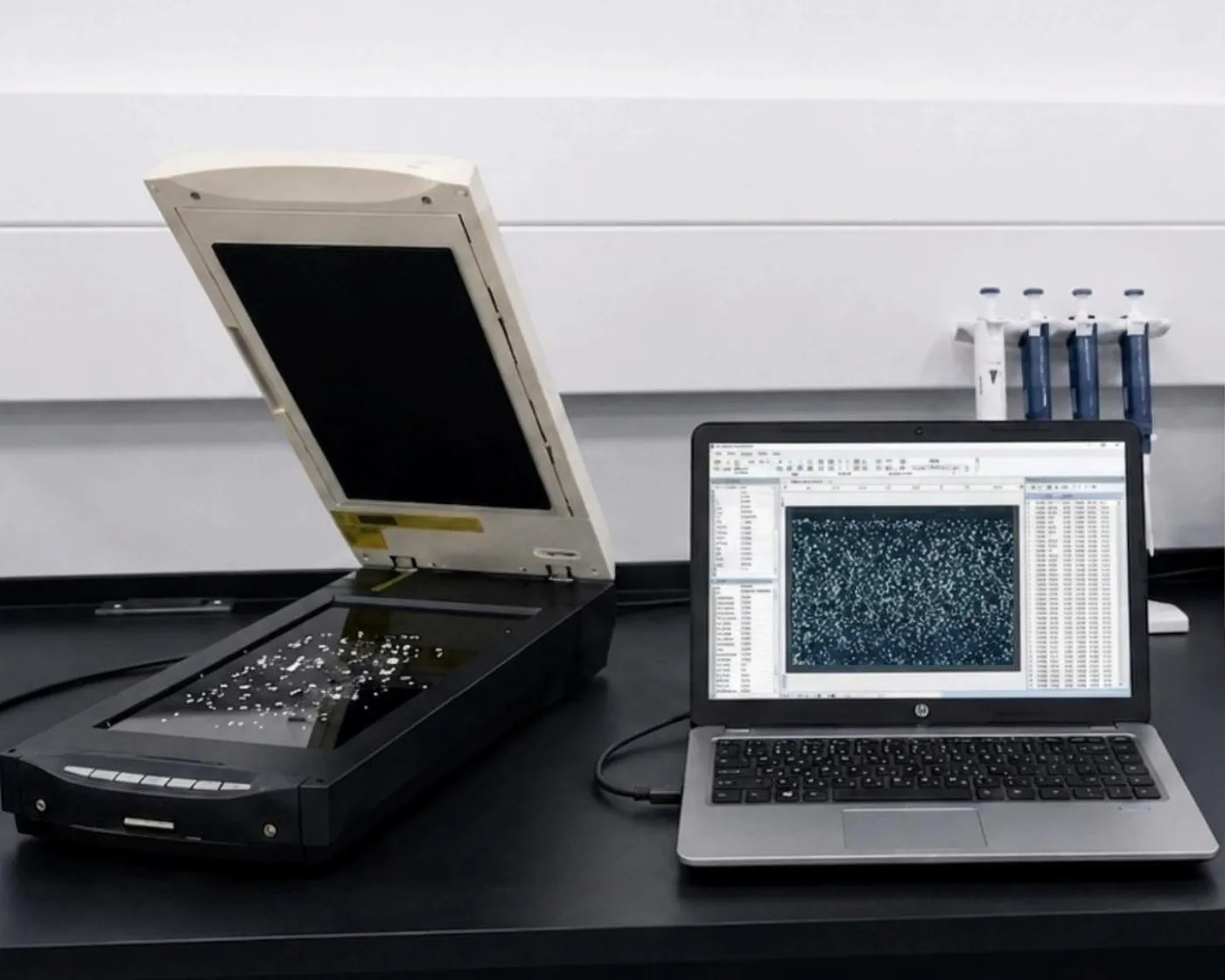 The grain analyser on the laboratory bench, where each lot leaves its record