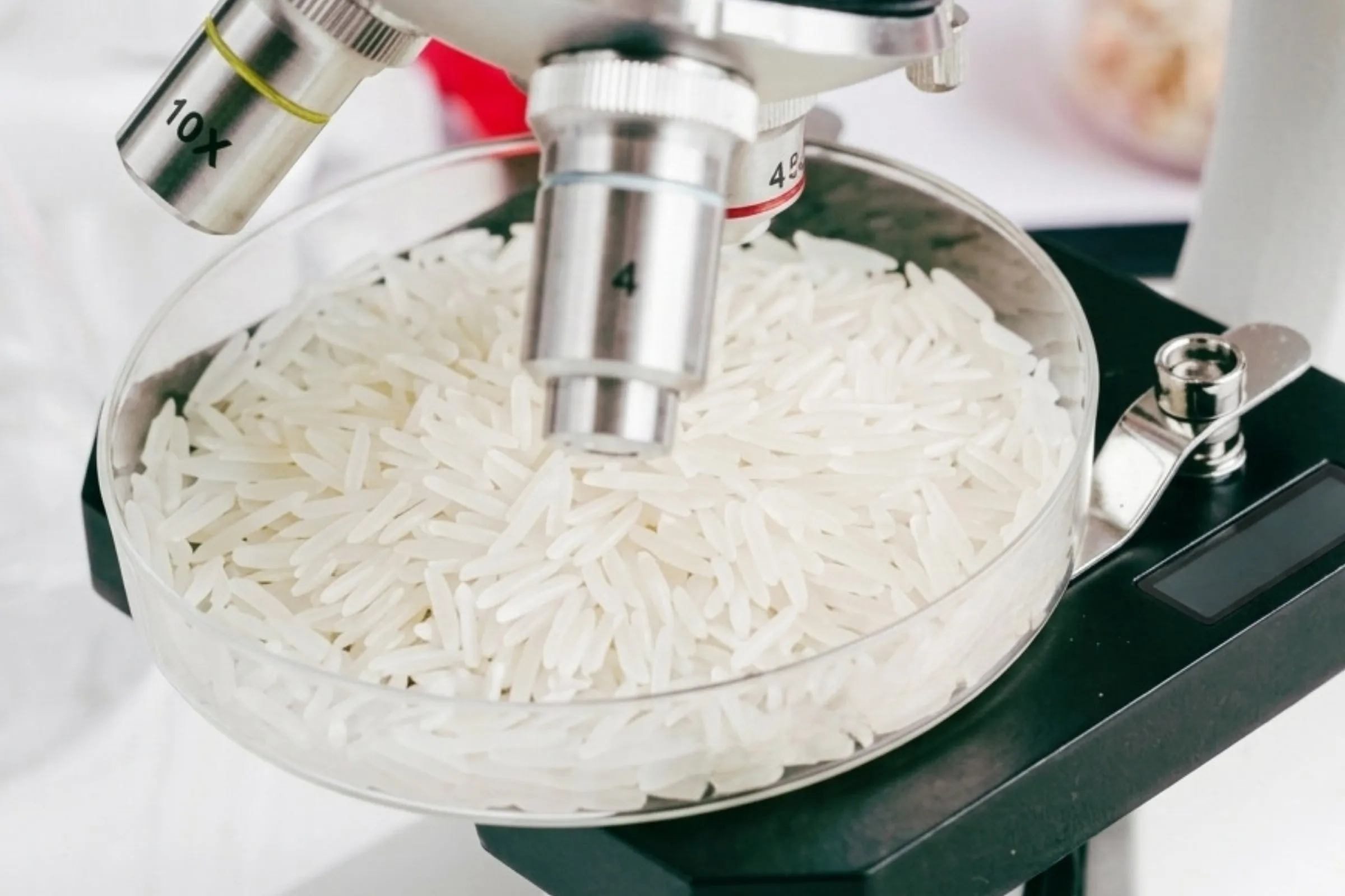 A Rice sample under the microscope during a purity check in our laboratory