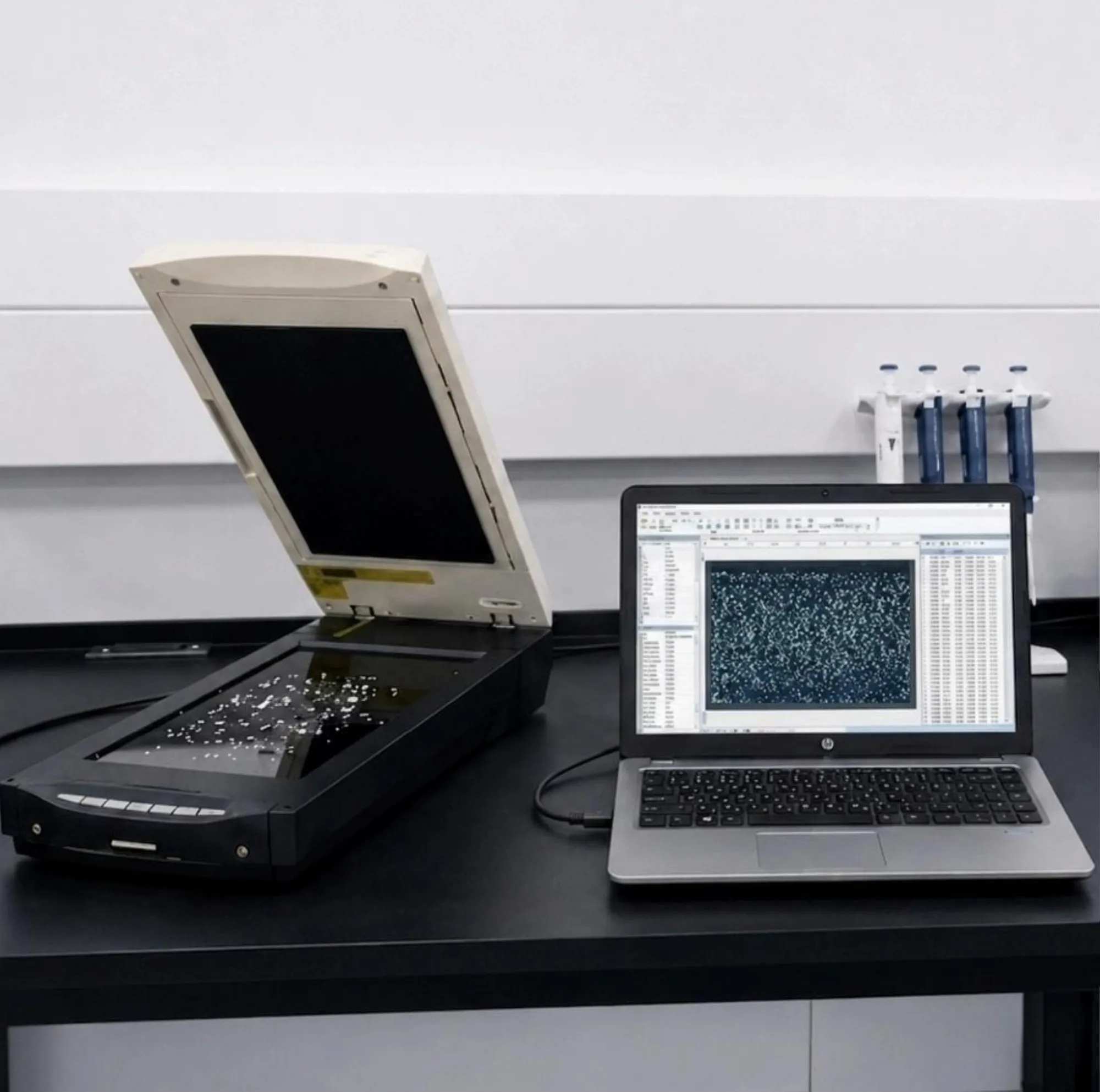 Rice quality control checks on grain length and moisture in the laboratory