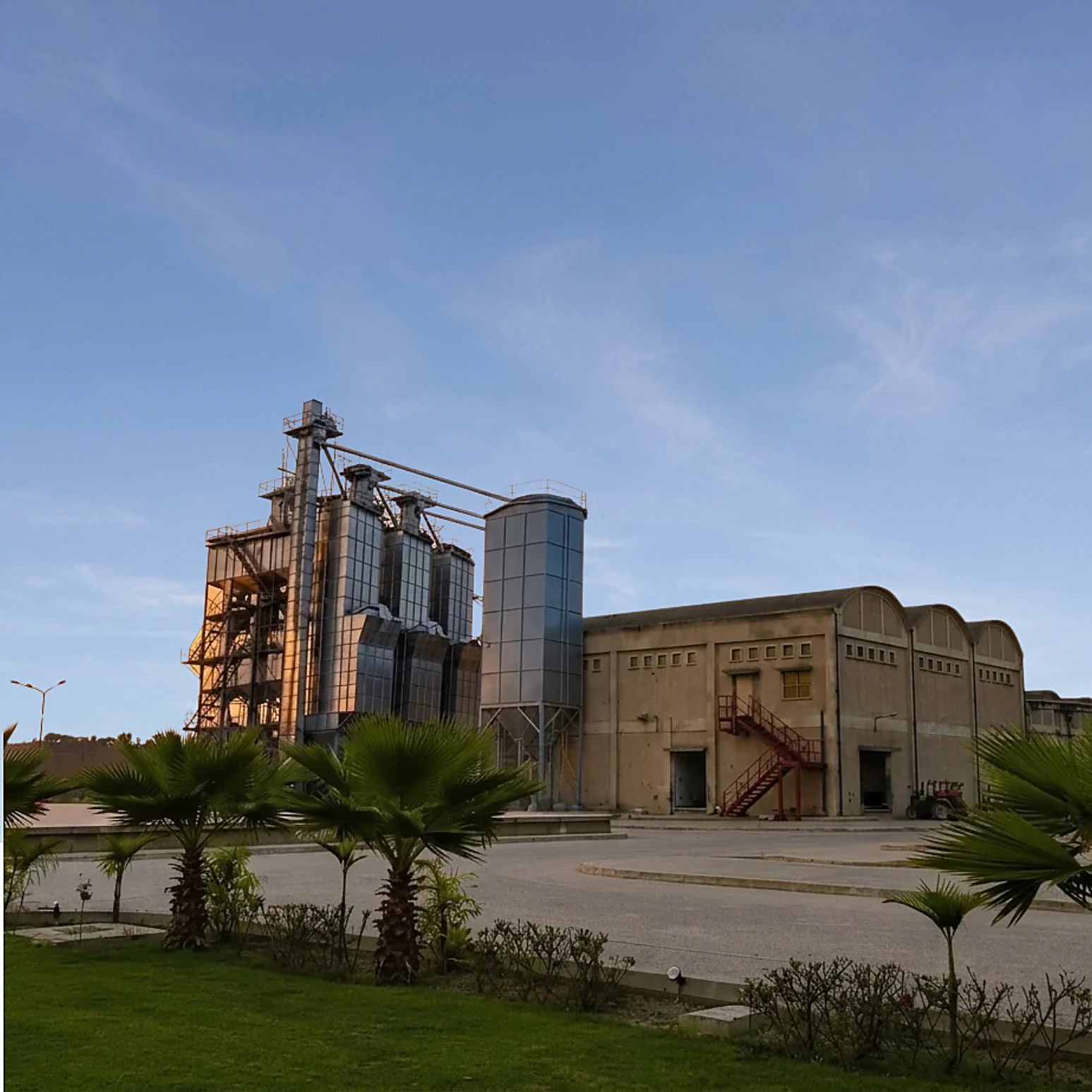 Green Rice Mill Punjab: the silo tower and milling hall behind a garden of palms
