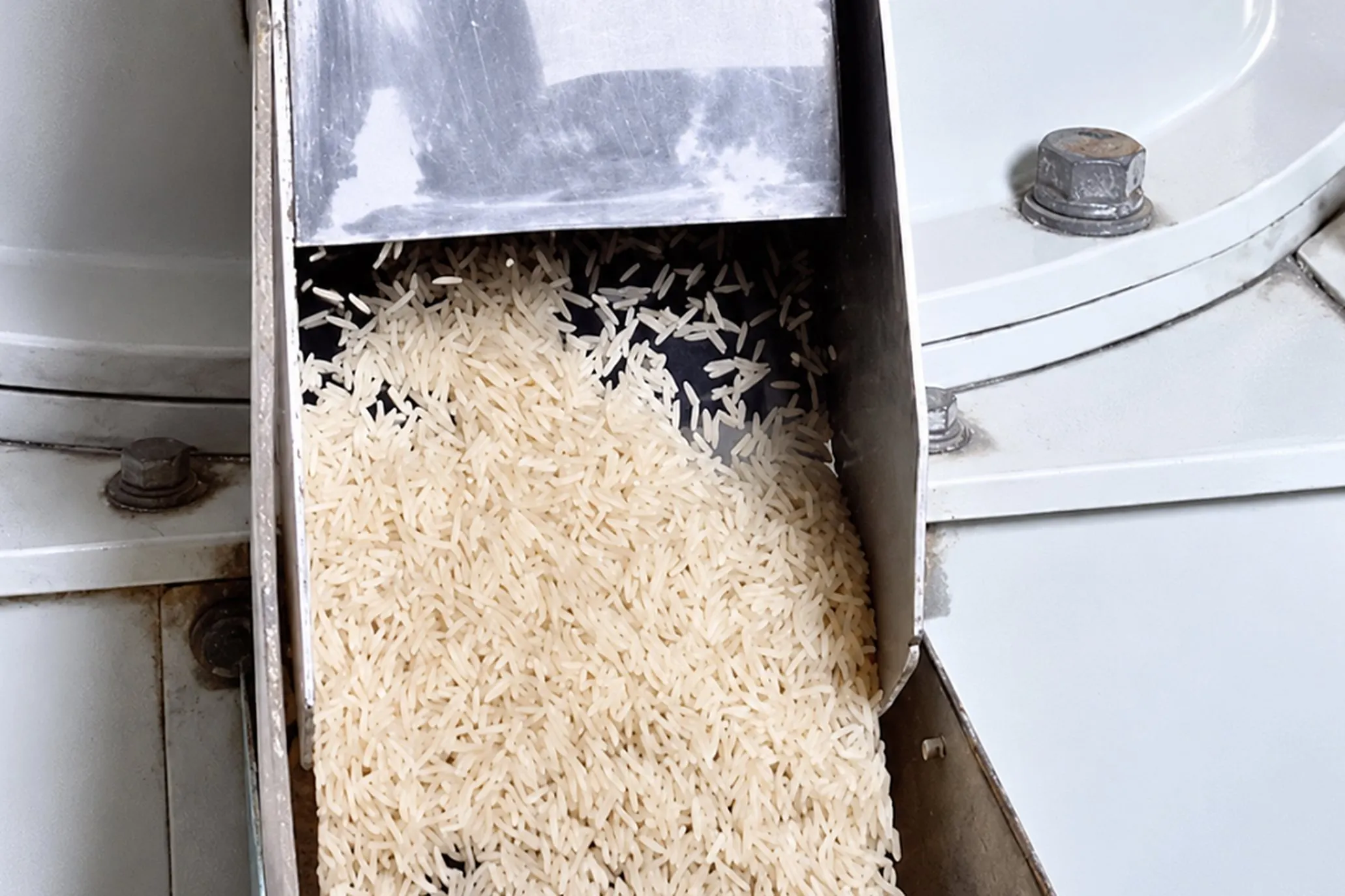 Milled long grain Rice running down a steel chute on the milling line